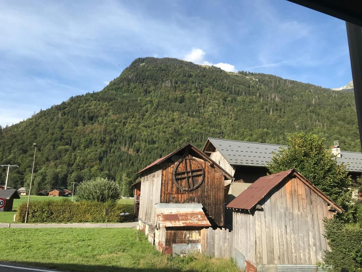 La Maison Du Herisson 萨莫安斯 外观 照片